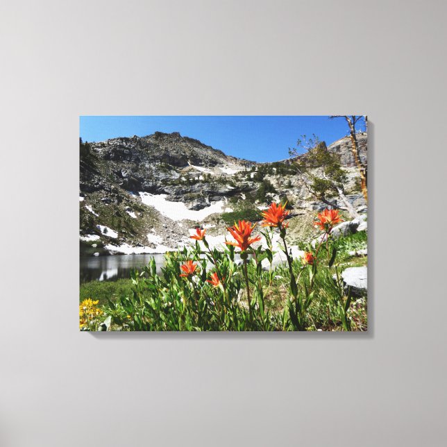 Fine Art Photo, Mountains Lake Wildflowers, Nevada Canvas Print (Front)