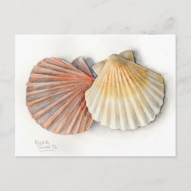 Fine Art Post Card - Sea Shells, Watercolour (Front)