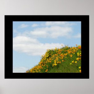 Fine Art Prints Blue Sky Summer Poppy Meadow