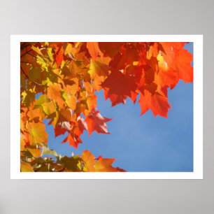 Fine Art Prints nature Colourful Autumn Fall Leave