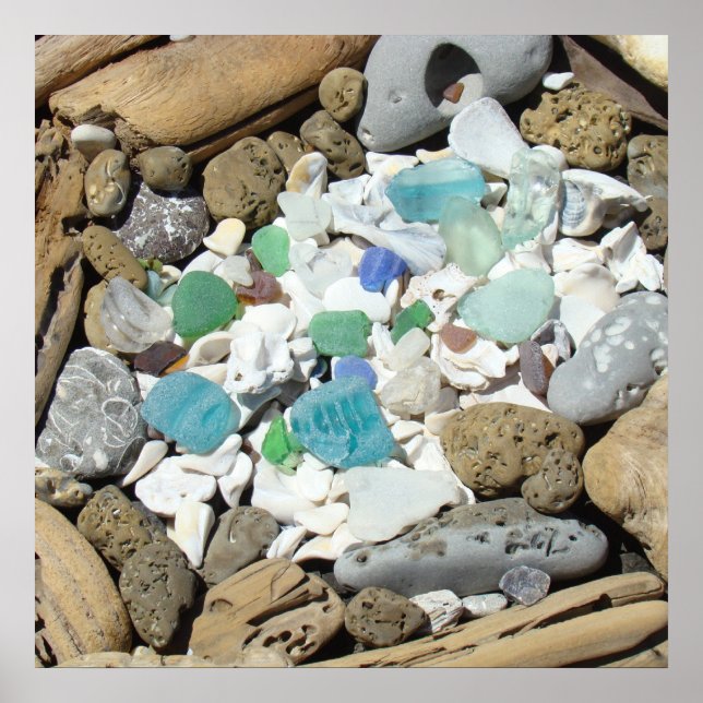 Fine Art Prints Ocean Sea Glass Shells Driftwood (Front)