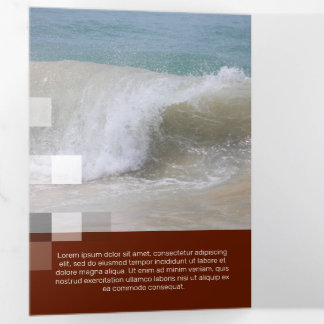 Fine Bordeaux Contemporary Transparency Tri-Fold Card