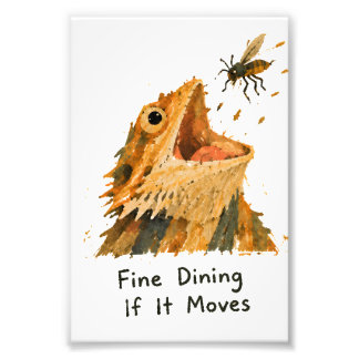 Fine Dining If It Moves Bearded Dragon Art Photo Print