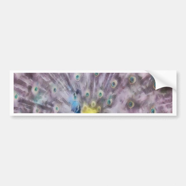 Fine Feather Peacock Mating Plumage Bumper Sticker (Front)