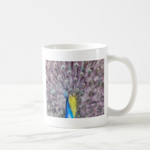 Fine Feather Peacock Mating Plumage Coffee Mug
