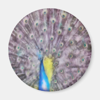 Fine Feather Peacock Mating Plumage Magnet