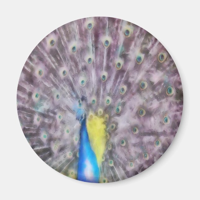 Fine Feather Peacock Mating Plumage Magnet (Front)