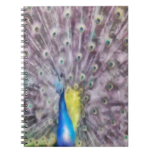 Fine Feather Peacock Mating Plumage Notebook