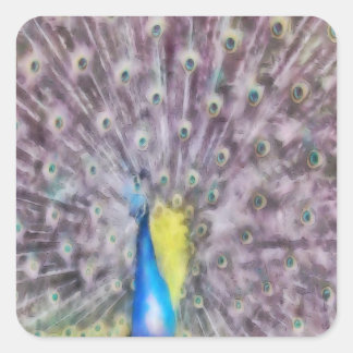 Fine Feather Peacock Mating Plumage Square Sticker