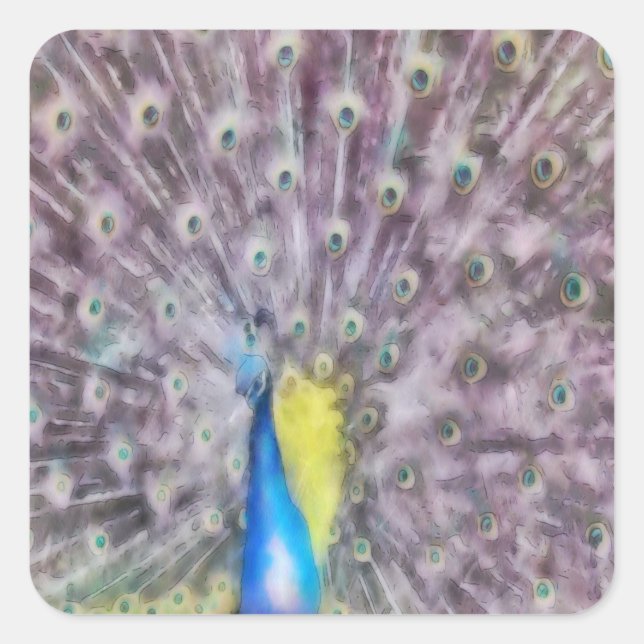 Fine Feather Peacock Mating Plumage Square Sticker (Front)