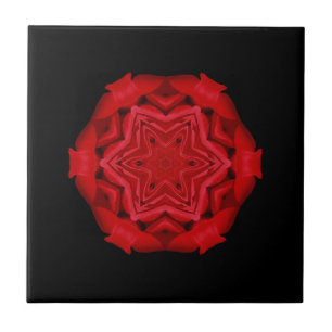 Fine geometric art scarlet red star flower black tile