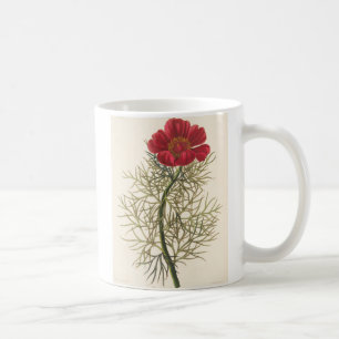 Fine Leaved Paeony Coffee Mug