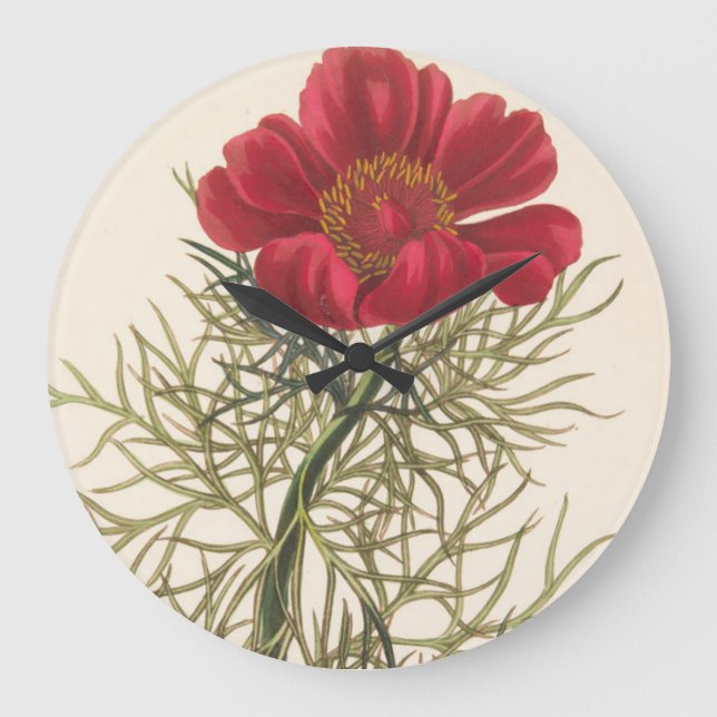 Fine Leaved Paeony Large Clock (Front)
