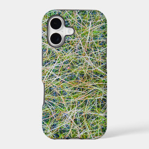 Fine Ornamental Sedge Grass