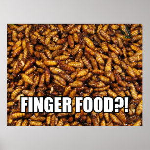 FINGER FOOD?! MEME POSTER