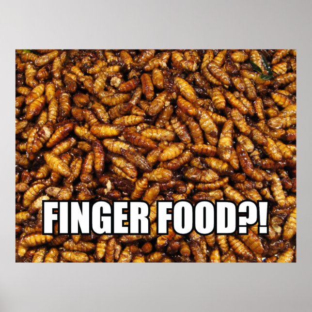 FINGER FOOD?! MEME POSTER (Front)
