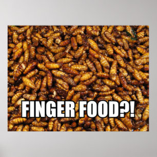 FINGER FOOD?! MEME POSTER