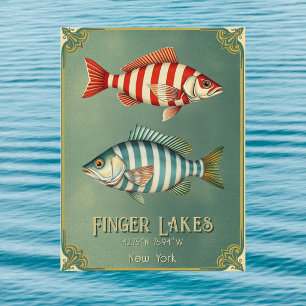 Finger Lakes New York nautical fish Postcard 