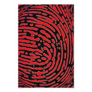 Fingerprint Bubble Photo Print