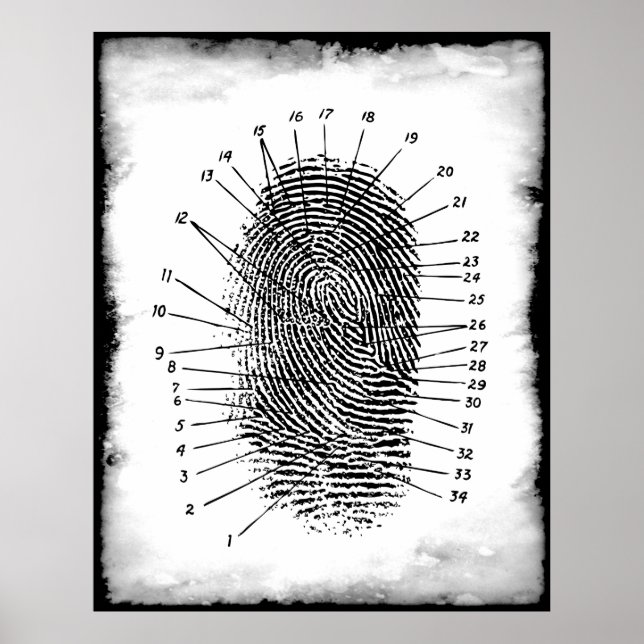 FINGERPRINT FORENSICS POSTER (Front)