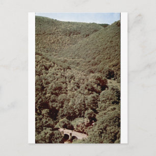 Fingle Bridge Vintage Wooded Valley Portrait Postcard