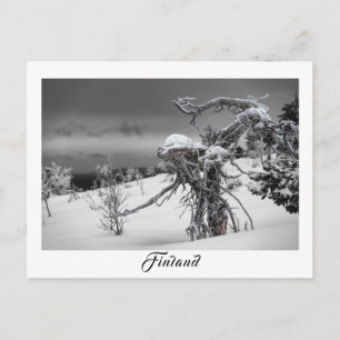 Finland alien tree postcard