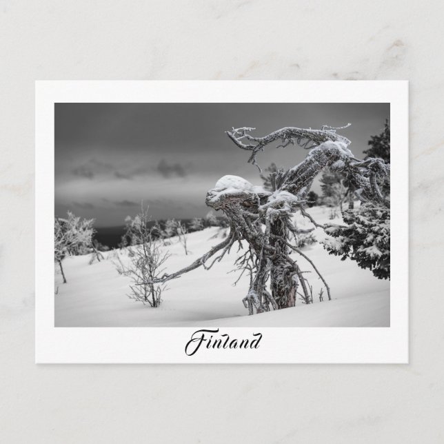 Finland alien tree postcard (Front)