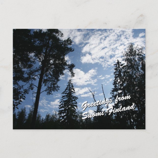 Finland Forest Postcard (Front)