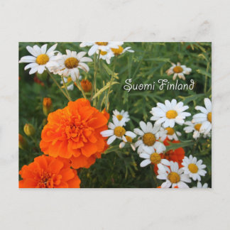 Finland in Flowers, 4th in a series Postcard