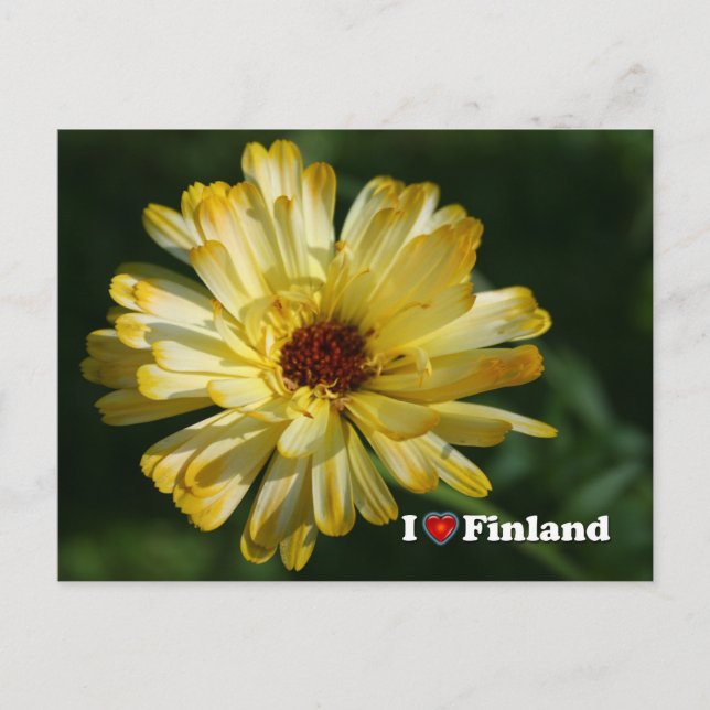 Finland in Flowers, 5th in a series Postcard (Front)