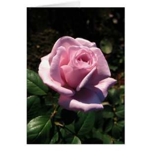 Finnish-Hyvää Syntymäpäivää