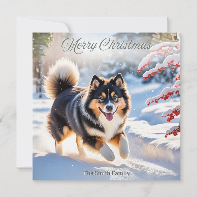 Finnish Lapphund Dog In Snow Stylish Picture Holiday Card (Front)