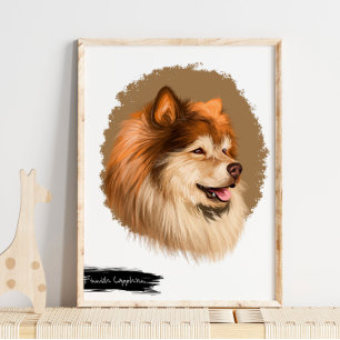 Finnish Lapphund Dog Portrait   Pet Portrait Wall  Poster