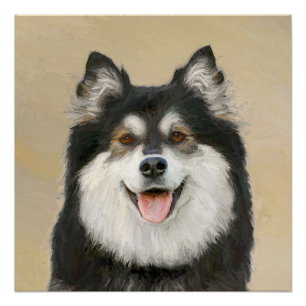 Finnish Lapphund Painting - Cute Original Dog Art Poster