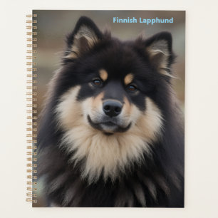 Finnish Lapphund Planner