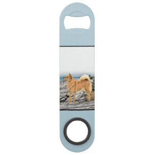 Finnish Spitz at Seashore Painting - Dog Art