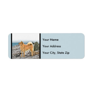 Finnish Spitz at Seashore Painting - Dog Art