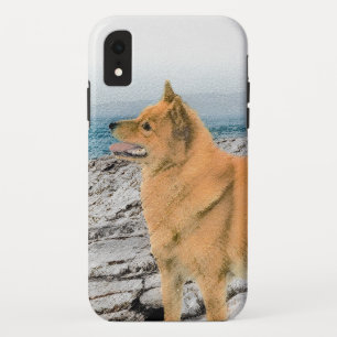 Finnish Spitz at Seashore Painting - Dog Art iPhone XR Case