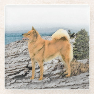 Finnish Spitz at Seashore Painting - Dog Art Glass Coaster