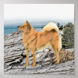 Finnish Spitz at Seashore Painting - Dog Art Poster