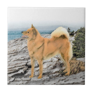 Finnish Spitz at Seashore Painting - Dog Art Tile