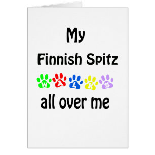Finnish Spitz Walks Design