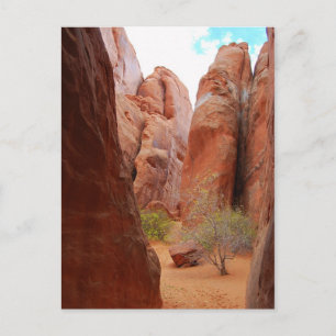 Fins, Arches National Park, Utah, Postcard