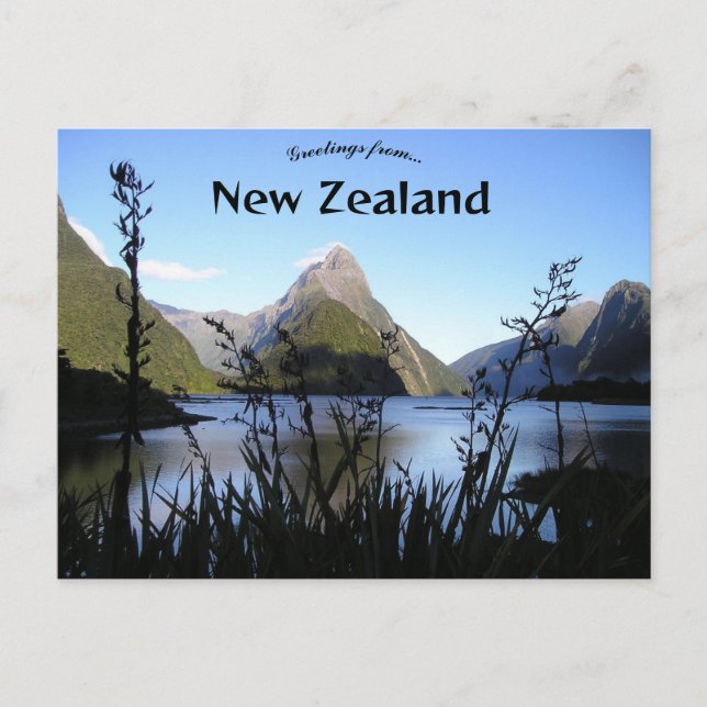 Fiordland New Zealand Postcard (Front)