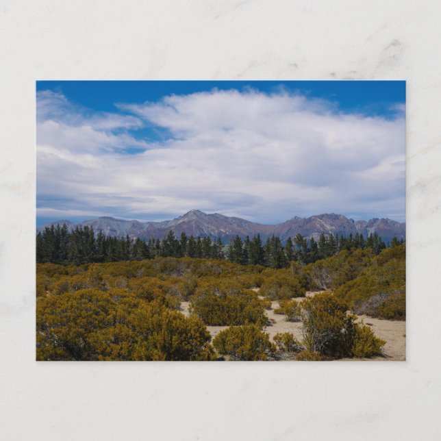 Fiordland, New Zealand - Postcard (Front)