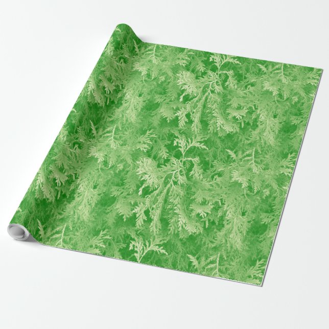 Fir Forest Wrapping Paper (Unrolled)