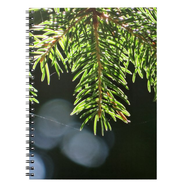 Fir pine needles with bokeh notebook (Front)