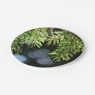 Fir pine needles with bokeh paper plate