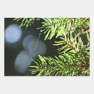 Fir pine needles with bokeh wrapping paper sheet