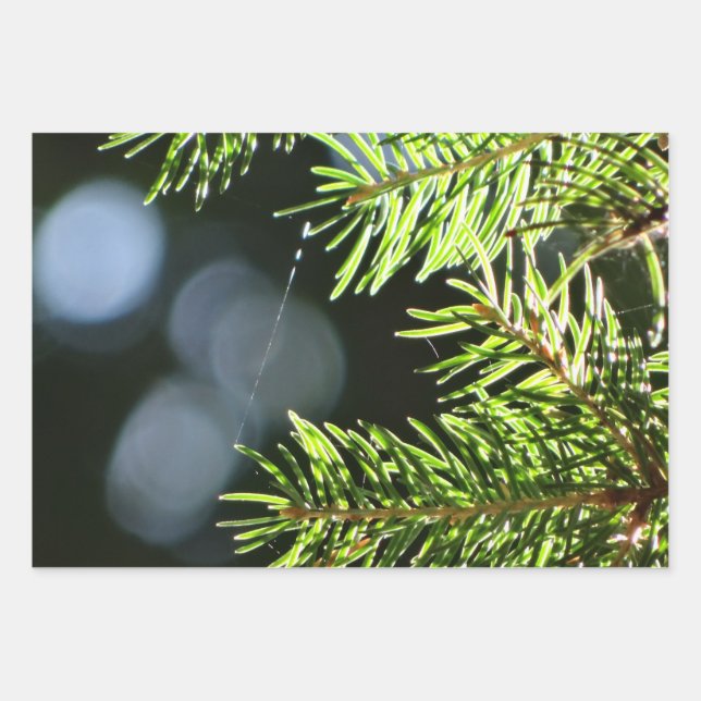 Fir pine needles with bokeh wrapping paper sheet (Front)